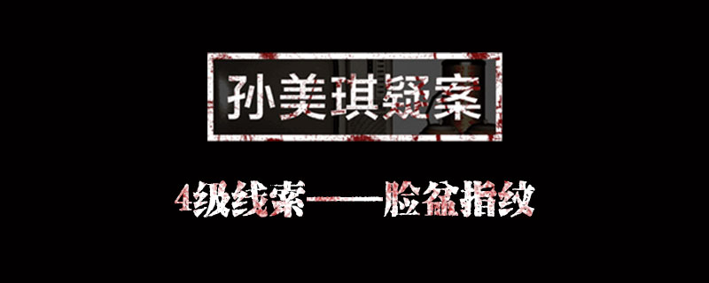 孙美琪疑案线索脸盆指纹在哪里