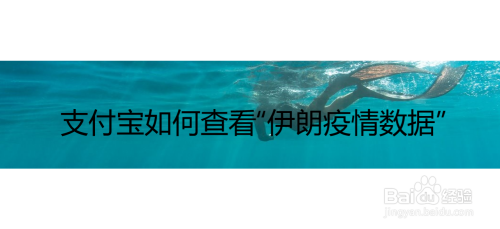 支付宝在哪查看“伊朗疫情数据”