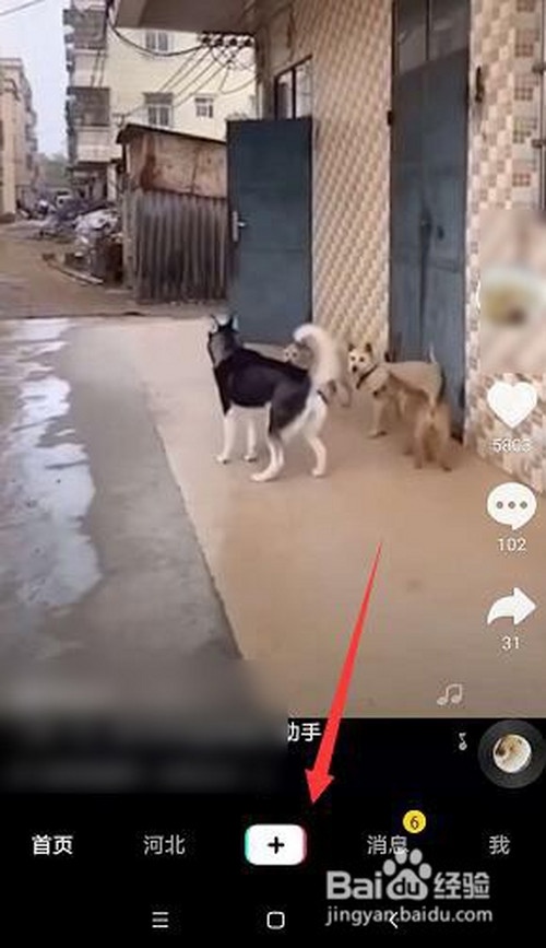 抖音中时光倒流特效在哪里设置