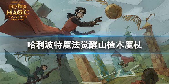 哈利波特魔法觉醒山楂木魔杖怎么得