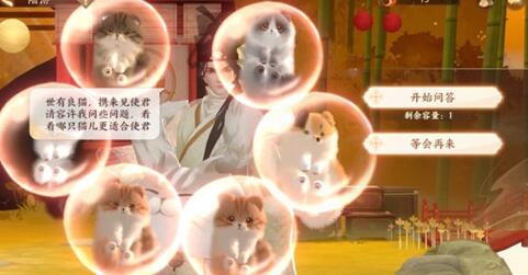 忘川风华录稀有猫咪怎么得