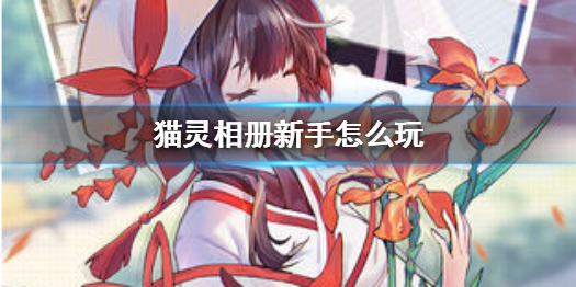 猫灵相册新手玩法攻略