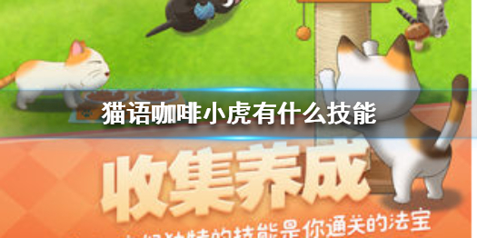 猫语咖啡小虎技能介绍