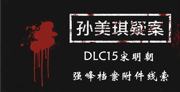 孙美琪疑案宋明朝强峰档案附件在哪