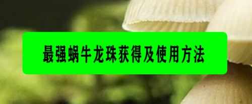 最强蜗牛龙珠使用及获取攻略