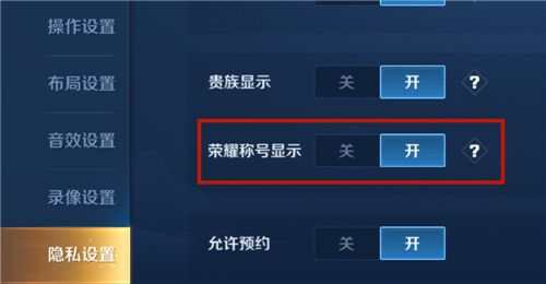 王者荣耀荣耀称号怎么显示