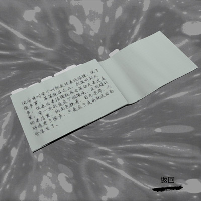 孙美琪疑案郎威线索账本留言在哪里