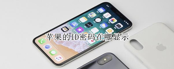 苹果手机查看网站与app密码方法介绍