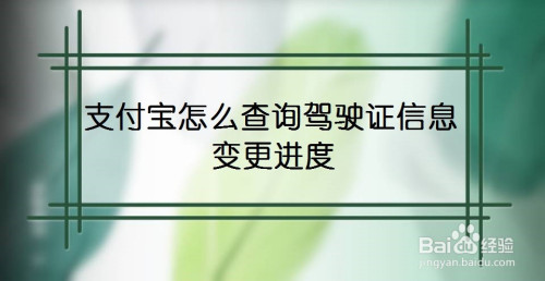 支付宝驾驶证信息变更进度查询方法分享
