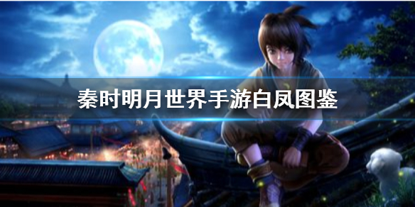 秦时明月世界白凤怎么样