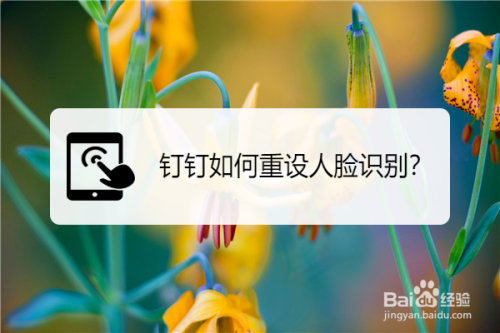 钉钉人脸识别怎么更换