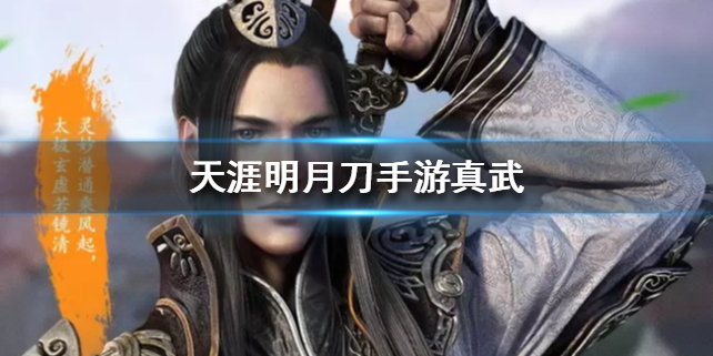 天涯明月刀手游真武门派怎么样