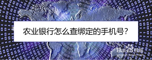 农业银行app怎么查询个人移动电话信息