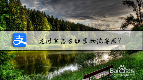 支付宝在哪联系物流客服
