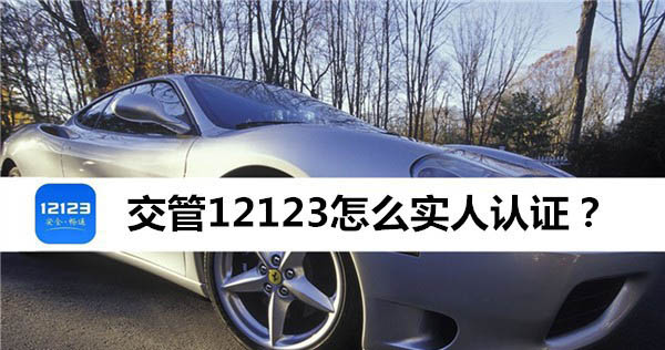 交管12123实人认证失败解决方法分享