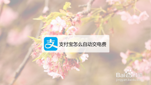 支付宝自动缴纳电费开通方法教程