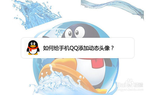 手机QQ动态头像怎么设置