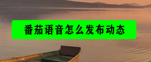 番茄语音发布动态流程分享