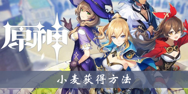 原神烹饪素材小麦怎么得