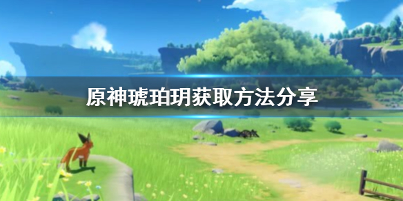 原神琥珀玥怎么样