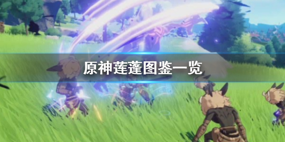 原神莲蓬怎么得