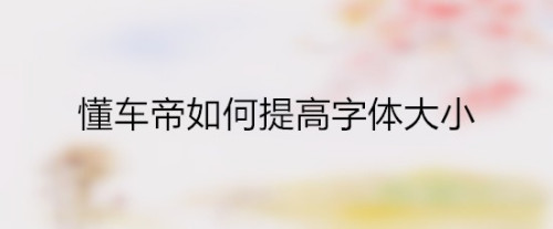 懂车帝怎么设置字体大小