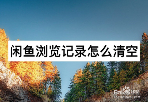 闲鱼浏览记录怎么删除
