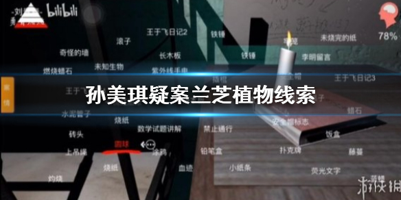 孙美琪疑案兰芝植物线索在哪