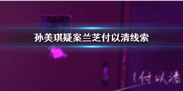 孙美琪疑案兰芝付以清线索在哪