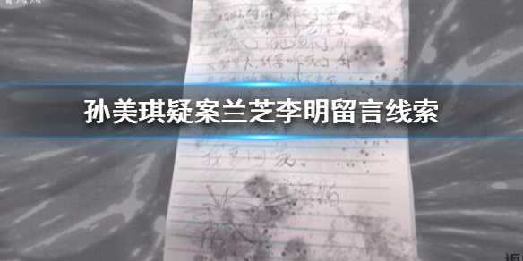 孙美琪疑案兰芝李明留言线索在哪