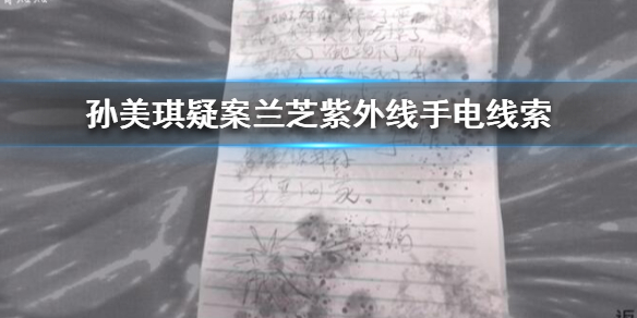 孙美琪疑案兰芝紫外线手电线索在哪