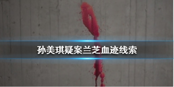 孙美琪疑案兰芝血迹线索在哪