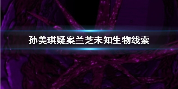 孙美琪疑案兰芝未知生物线索在哪