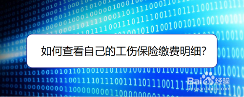 微信怎么查看工伤保险缴费记录