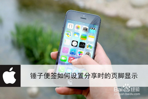 锤子便签怎么设置分享时显示页脚