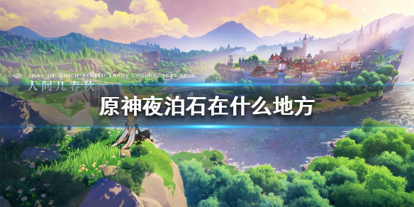 原神29个夜泊石位置分布图一览
