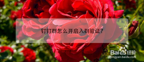 钉钉群怎么设置入群验证