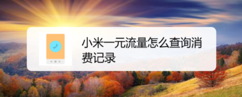 小米手机一元流量消费记录查询步骤介绍