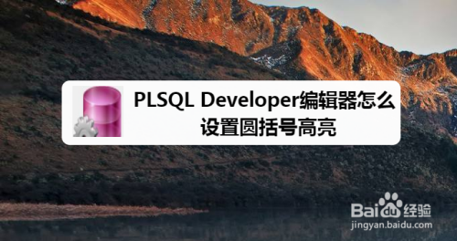 PLSQL Developer编辑器设置圆括号高亮