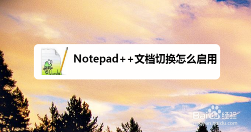 Notepad++文档切换开启流程介绍