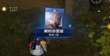 黎明觉醒丛林宝藏位置分享