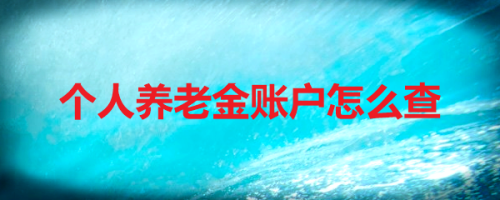 怎么用贵阳人社通查看养老金账户