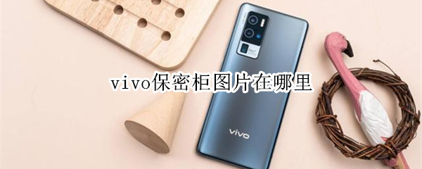 vivo保密柜图片在哪查看