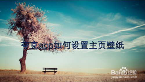 夸克主题壁纸更换方法教程