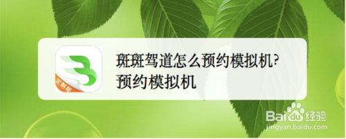 斑斑驾道怎么预约练车