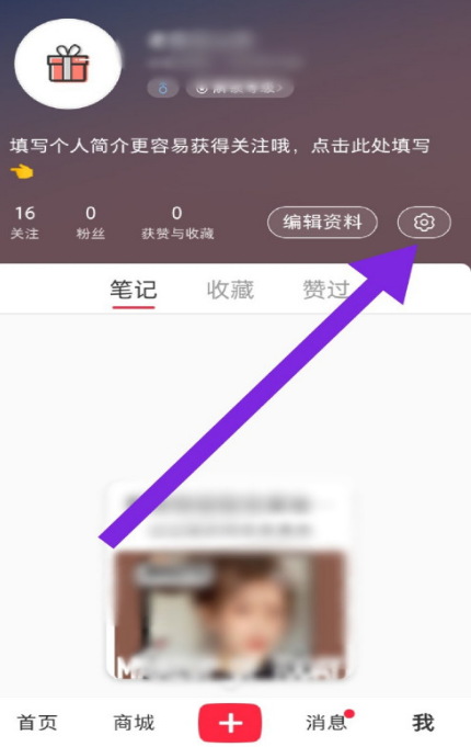 小红书怎么设置私信通知