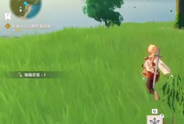 原神手游冰火骗骗花位置分享