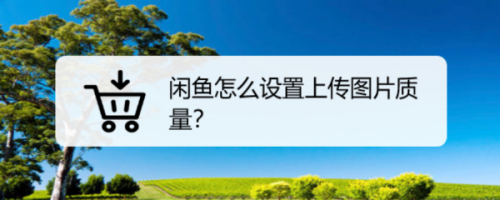 闲鱼怎么上传高清图片