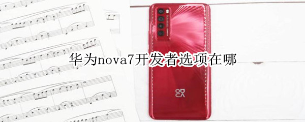华为nova7开启开发者选项步骤介绍