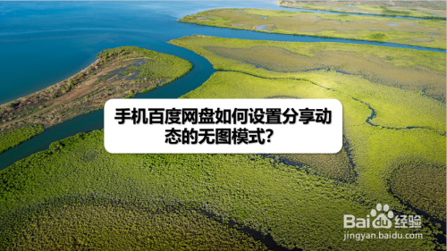 手机百度网盘在哪设置无图分享动态